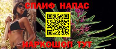 гашик Ярцево