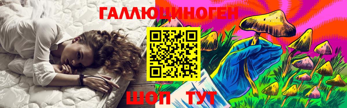 купить закладку  Псилоцибиновые грибы GOLDEN TEACHER  Вход с VPN  Гагарин 