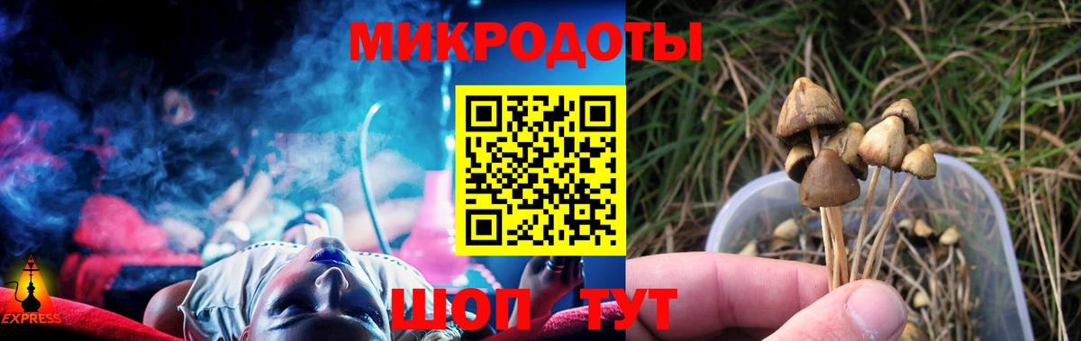 Псилоцибиновые грибы MAGIC MUSHROOMS Гагарин